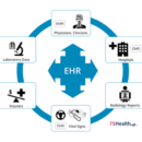 What Components Constitute an Electronic Health Record?