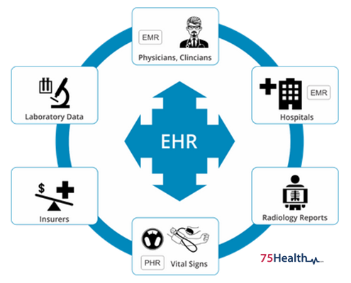What Components Constitute an Electronic Health Record?
